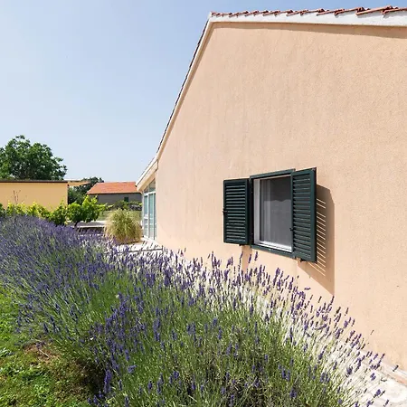 Vakantiehuis House Runaway