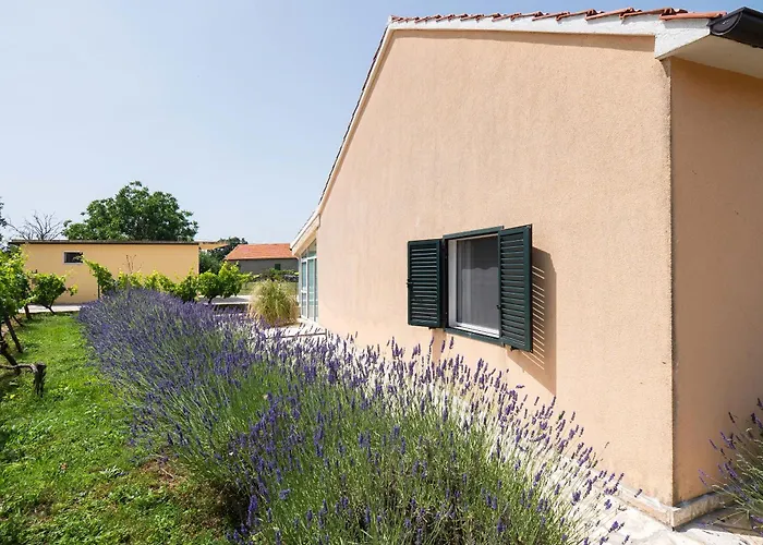 Vakantiehuis House Runaway